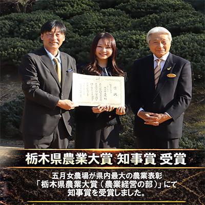 特別栽培米　大田原産こしひかり　送料込み ふるさと納税 大田原市 栃木県大田原産コシヒカリ パックご飯20個|栃木
