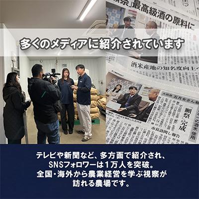ふるさと納税 大田原市 栃木県大田原産コシヒカリ パックご飯20個|栃木