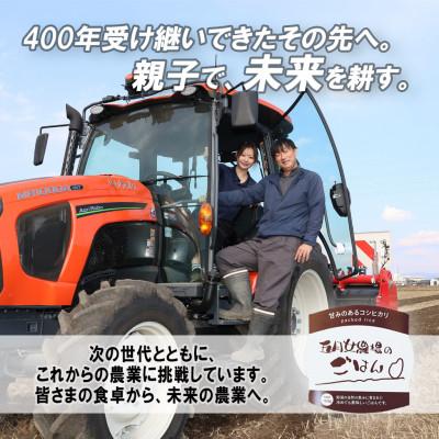 ふるさと納税 大田原市 栃木県大田原産コシヒカリ パックご飯20個|栃木