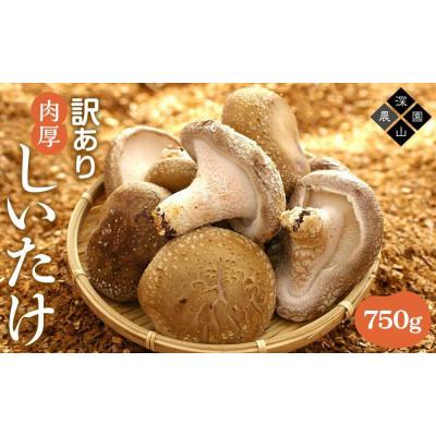 ふるさと納税 相生市 [有機]深山農園の 中身美人の新鮮しいたけ 〜アウトレット〜750g