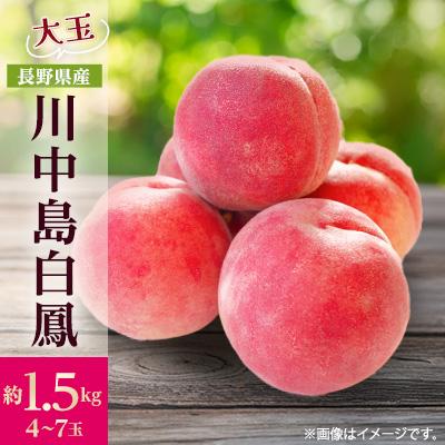 ふるさと納税 中野市 [2027年発送]フルーツ王国 長野県信州直送 桃 川中島白鳳 約1.5kg(4〜7玉)