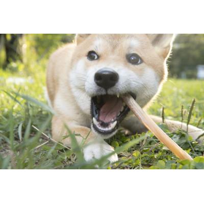 ふるさと納税 鷹栖町 わんdeereフルセット わんちゃんおやつセット