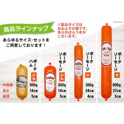 ふるさと納税 島原市 雲仙ハム ポークソーセージ 小(300g×3本) |  | 02