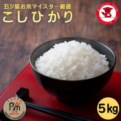 ふるさと納税 銚子市 千葉県産コシヒカリ 5kg[お米マイスター厳選]
