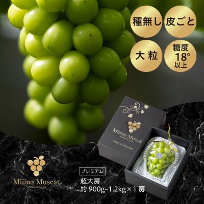ふるさと納税 岡山市 [2026年分]ブランドシャインマスカット『MiiinoMuscatプレミアム』1房(900g以上)