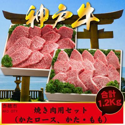 ふるさと納税 赤穂市 神戸牛 焼肉用セット 1.2Kg AKYS5 かたロース かた もも