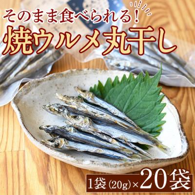 ふるさと納税 阿久根市 焼ウルメ丸干し20袋セット(20g×20袋)[下園薩男商店]a-31-5