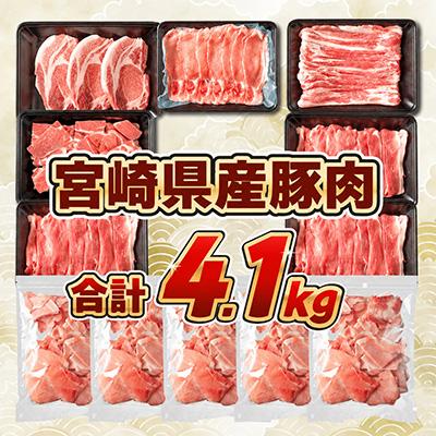 ふるさと納税 日南市 宮崎県産豚肉 6種 盛り合わせ セット 合計4.1kg(日南市) |  | 01