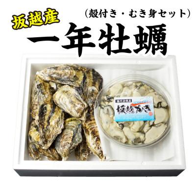 ふるさと納税 赤穂市 坂越かき 殻付き + 生食用 むき身 セット 殻付き20個〜25個 むき身200g メス付