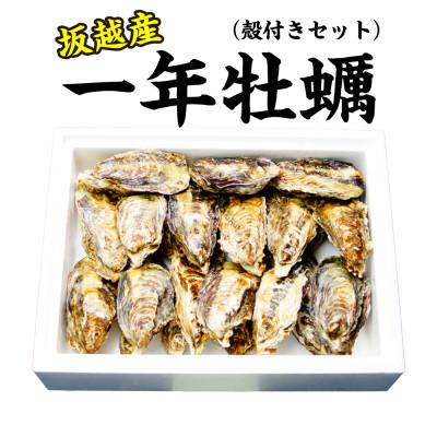 ふるさと納税 赤穂市 坂越かき 殻付き 25個〜30個 メス付