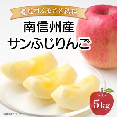 ふるさと納税 豊丘村 [豊丘村]南信州産 サンふじりんご 5kg(贈答用)[12月初旬より発送予定]