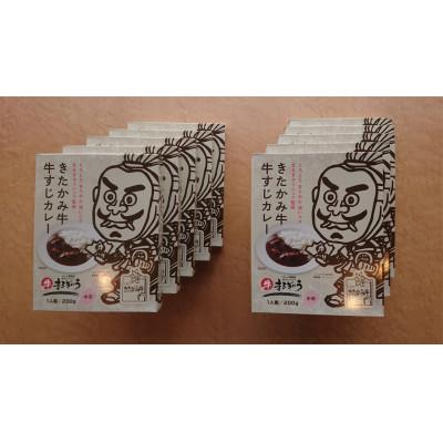 ふるさと納税 北上市 きたかみ牛牛すじカレー 10個