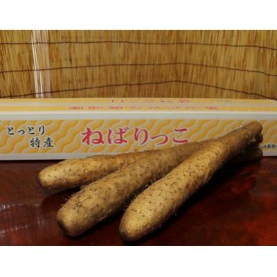 ふるさと納税 北栄町 ねばりっこ 長芋 3〜4本
