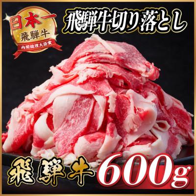 ふるさと納税 羽島市 飛騨牛　切り落とし　約600g(約300g×2)【冷蔵便】訳あり | 