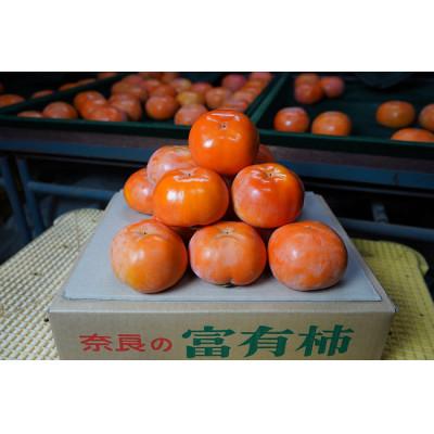 ふるさと納税 五條市 【訳あり】奈良県西吉野の富有柿　約7.5kg | 