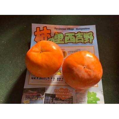 ふるさと納税 五條市 【訳あり】奈良県西吉野の富有柿　約7.5kg |  | 02