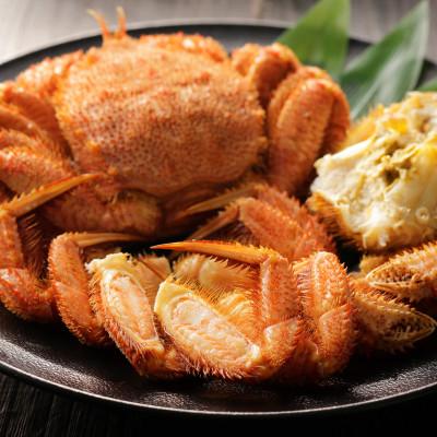 ふるさと納税 枝幸町 漁獲量日本一 枝幸毛がに 2尾セット(約570g×2尾) 北海道枝幸町産 |  | 02
