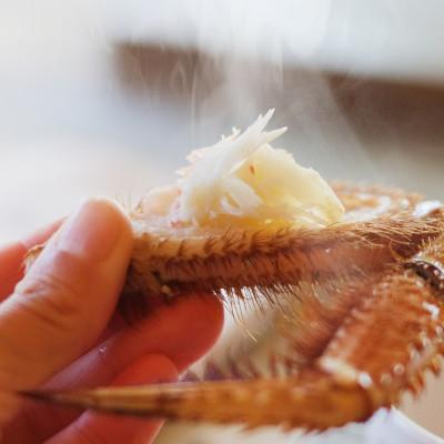 ふるさと納税 枝幸町 漁獲量日本一 枝幸毛がに 1尾(約800g) 北海道枝幸町産 |  | 03