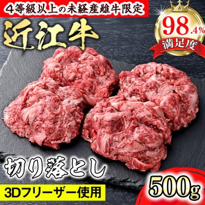 ふるさと納税 近江八幡市 近江牛切り落とし500g(ロース・肩ロース・ウデ・モモ・バラ)