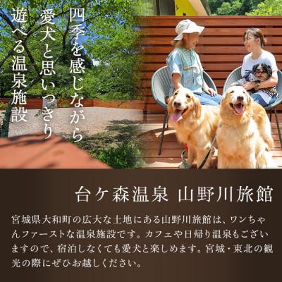 ふるさと納税 大和町 台ケ森温泉 山野川旅館 DogVillage台ケ森 施設利用券 3,000円分