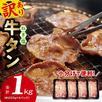ふるさと納税 泉佐野市 牛たん 1kg 小分け 250g×4P ねぎ塩 成型肉 焼肉用 099H4056
