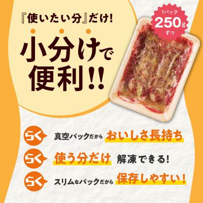 ふるさと納税 泉佐野市 牛たん 1kg 小分け 250g×4P ねぎ塩 成型肉 焼肉用 |  | 02