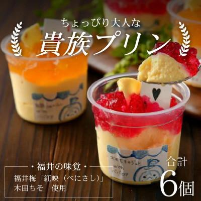ふるさと納税 福井市 福井を味わう♪ 貴族プリン 6個セット