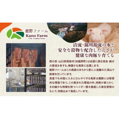 ふるさと納税 周南市 焼肉コロッケ　業務用　 60個セット |  | 02