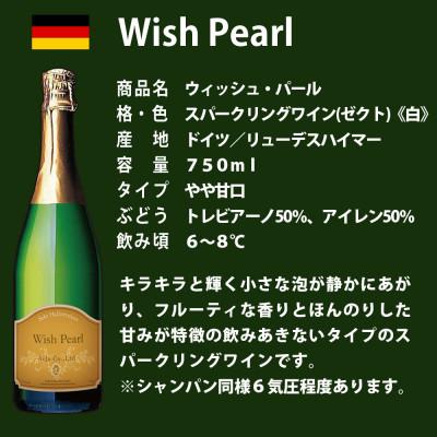ふるさと納税 直方市 福智山ダム熟成スパークリングワイン3本