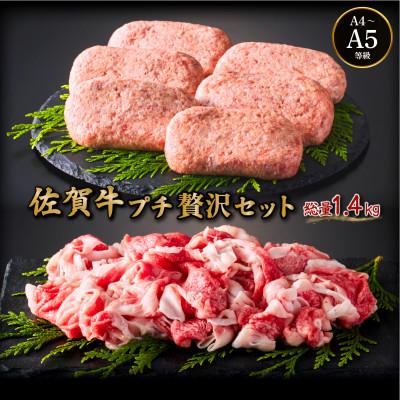 ふるさと納税 大町町 佐賀牛プチ贅沢セット ハンバーグ150g×6個・切り落とし500g(大町町)