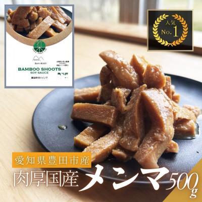 ふるさと納税 豊田市 愛知県豊田市 定番の醤油味付けメンマ 100g×5パック