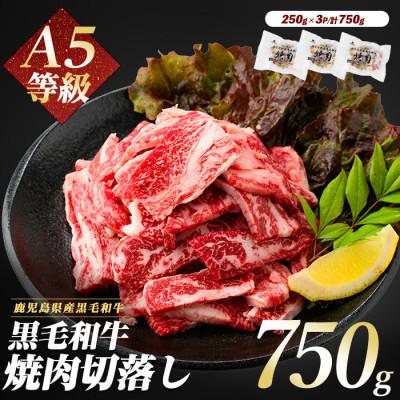ふるさと納税 指宿市 A5等級鹿児島県産黒毛和牛焼肉切り落とし750g(250g×3P)(012-1659)