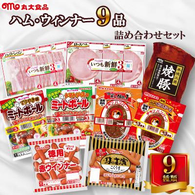 ふるさと納税 唐津市 [丸大食品唐津工場]ハムソーセージ9品詰め合わせセット(唐津市)
