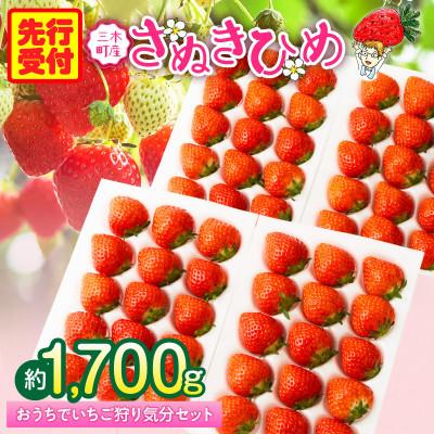 ふるさと納税 三木町 『苺音ファームの』おうちでいちご狩り気分セット〜さぬきひめいちご〜 [2026年3月〜5月配送]