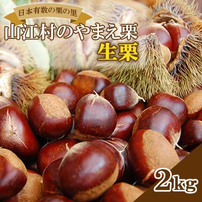 ふるさと納税 山江村 [先行受付]日本有数の栗の里山江村のやまえ栗生栗 2kg
