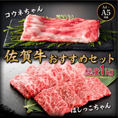 ふるさと納税 大町町 佐賀牛おススメセット(コウネちゃん・はしっこちゃん) 各500g(大町町)