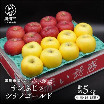 ふるさと納税 奥州市 奥州市産りんご赤い誘惑「サンふじ&amp;シナノゴールド」約5kg(16〜18玉) [AQ081]