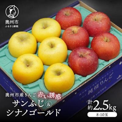ふるさと納税 奥州市 奥州市産りんご赤い誘惑「サンふじ&amp;シナノゴールド」約2.5kg(8〜10玉)[AQ083]