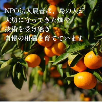 ふるさと納税 松山市 温州みかんジュース 720ml × 6本 果汁100%ストレートジュース |  | 03