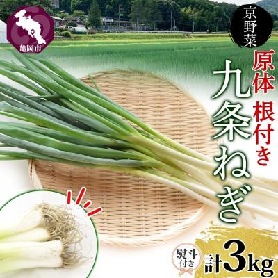 ふるさと納税 亀岡市 [熨斗付き]九条ねぎ 原体 根付き 3kg 京のおねぎはん 産地直送 西陣屋 京都府 亀岡市
