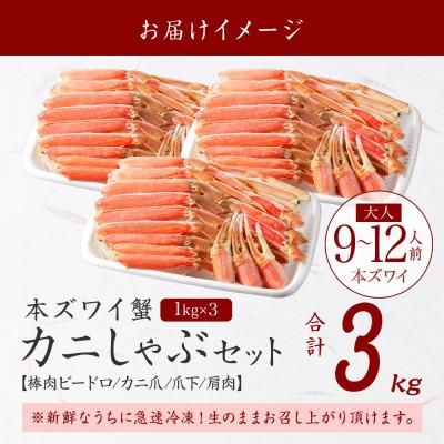 ふるさと納税 弟子屈町 ズワイ蟹しゃぶ1kg×3個(9〜12人前) 生食可 鍋 しゃぶしゃぶ 北海道弟子屈町 3864 |  | 03