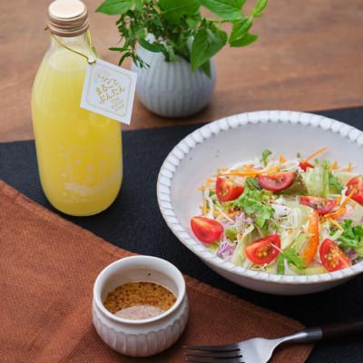 ふるさと納税 土佐市 土佐文旦シロップ「まるごとぶんたん」360ml×2本 |  | 02