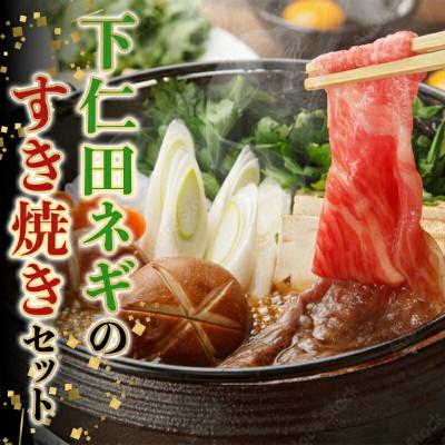 ふるさと納税 下仁田町 本場!下仁田ネギを使ったちょっと贅沢な「すき焼きセット」TS