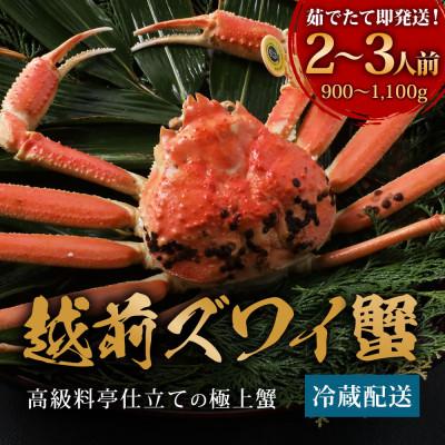 ふるさと納税 福井市 [12/20〜年内発送]福井の老舗カニ料理店「茹で越前がにズワイ蟹」大1杯(900g〜1.1kg)