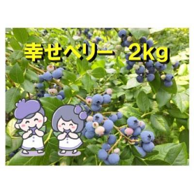 ふるさと納税 野田市 [冷凍ブルーベリー]2kg 千葉県野田市産