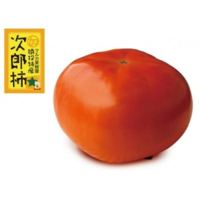 ふるさと納税 豊田市 [先行受付]≪大玉≫次郎柿 約4kg(15玉)[2026年11月上旬以降順次発送]