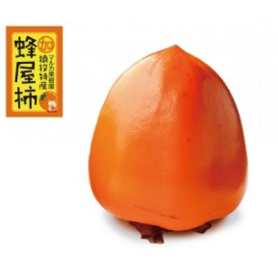 ふるさと納税 豊田市 [先行受付]蜂屋柿 約6kg [2026年10月中旬以降順次発送]