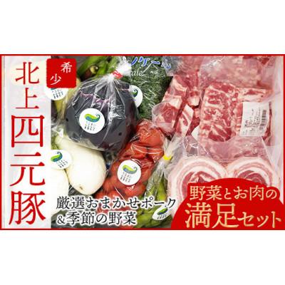 ふるさと納税 北上市 GIFTON 岩手・北上産 四元豚 厳選カット肉と野菜農家「うるおい春夏秋冬」季節の野菜セット
