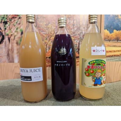 ふるさと納税 中川村 おすすめ 中川村の味覚セット おまかせ(1L×3本)