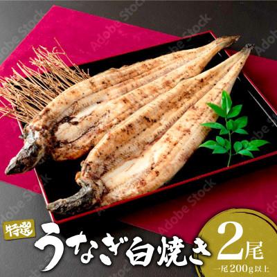 ふるさと納税 大町町 うなぎ白焼き 400g(200g×2尾)(大町町)